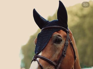 Övrig Hästutrustning hästutrustning till salu: Svart lång huva med strass från All Inn. Stl full i Värmdö - Annons 1