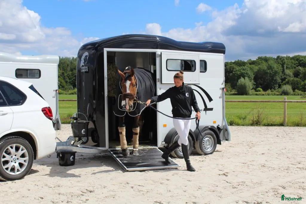 Hästtransporter  fordon & transport till salu: Långtidshyr hästtransport - Torstensons Huskvarna - Annons 17