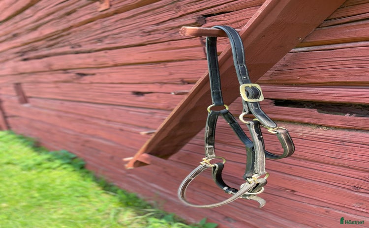 Övrig Hästutrustning hästutrustning till salu i Falun - Annons 13