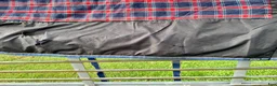 Täcken hästutrustning till salu: Bra vintertäcke size 145 i Rånäs - Annons 11