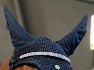 Övrig Hästutrustning hästutrustning Pannband silver diamanter i Blentarp - Annons 7