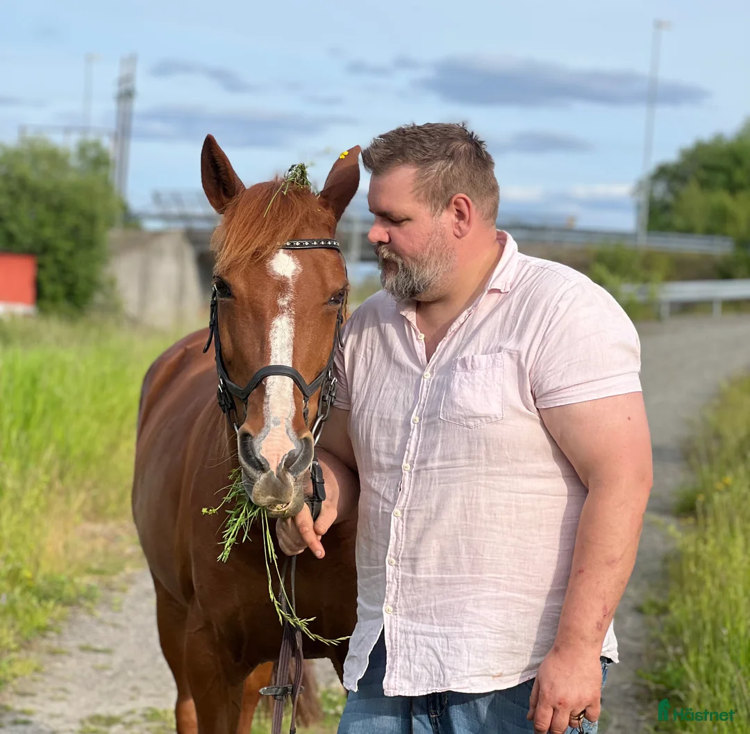 Galleribild {{count}}