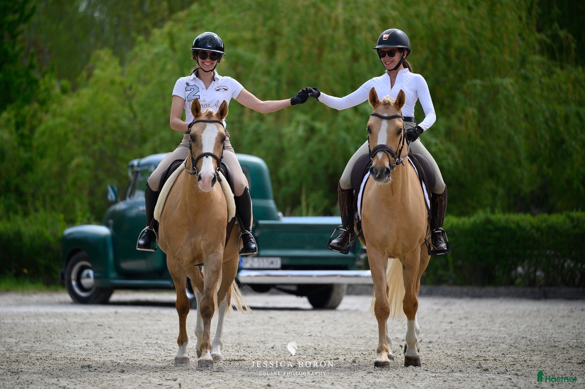  hästar Amazing palomino pony! - Annons 1