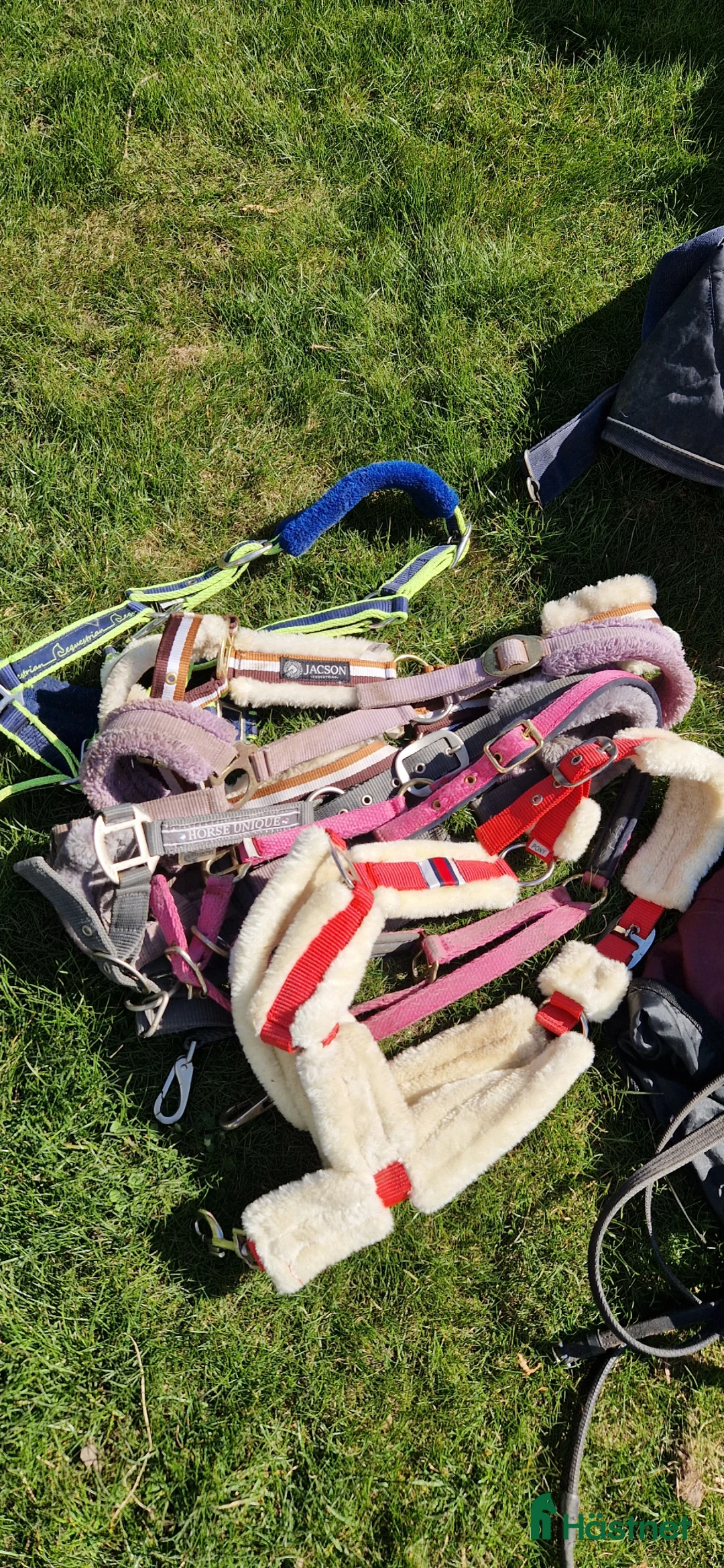 Täcken hästutrustning till salu: Paket Ponny utrustning i Löberöd - Annons 2