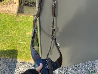 Övrig Hästutrustning hästutrustning Förbygel Antares - Annons 5