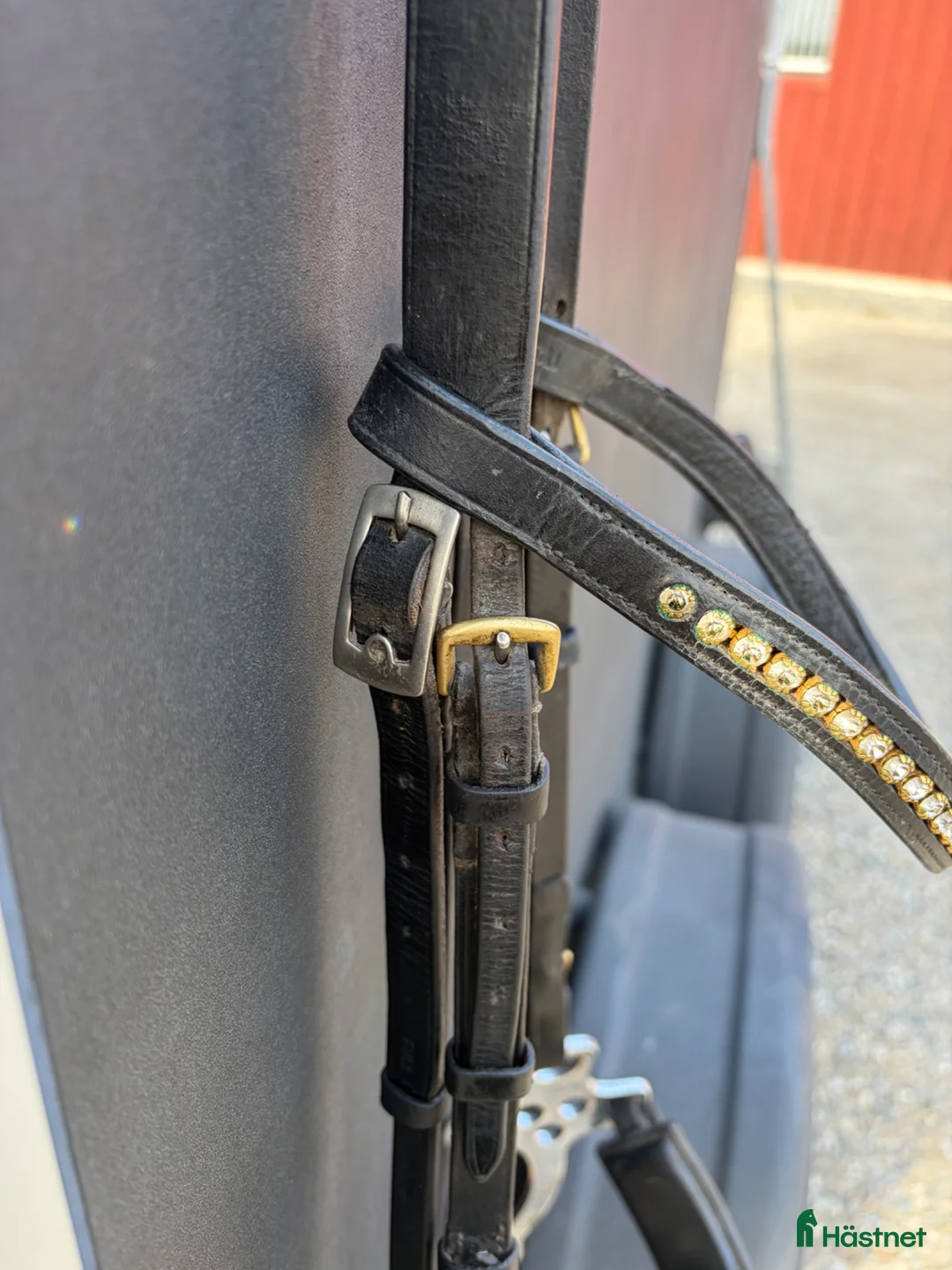 Träns hästutrustning till salu: Hackamore  - Annons 2