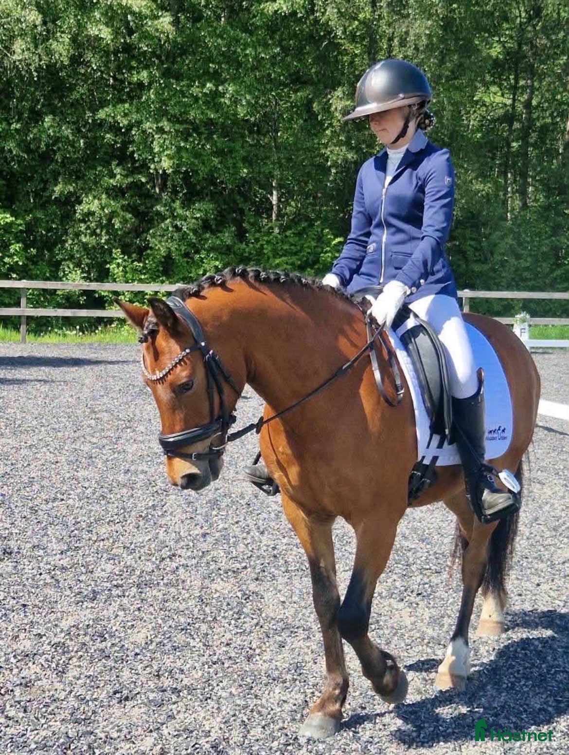  hästar Dressyrponny/lyxig hobbyhäst  - Annons 1