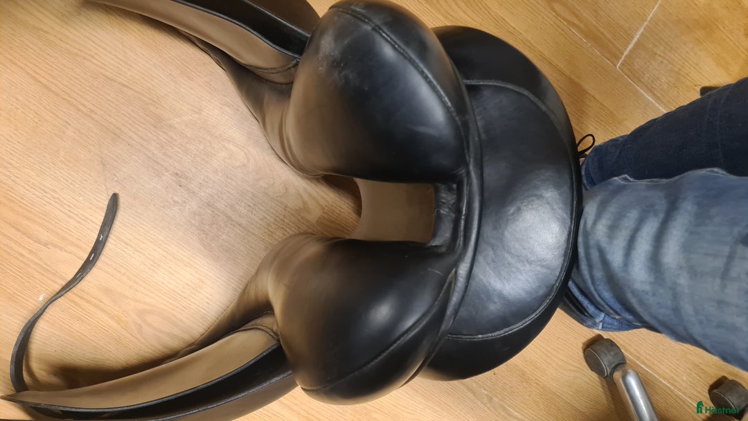 Sadlar hästutrustning till salu: Morris and Nolan  i Hamneda - Annons 7