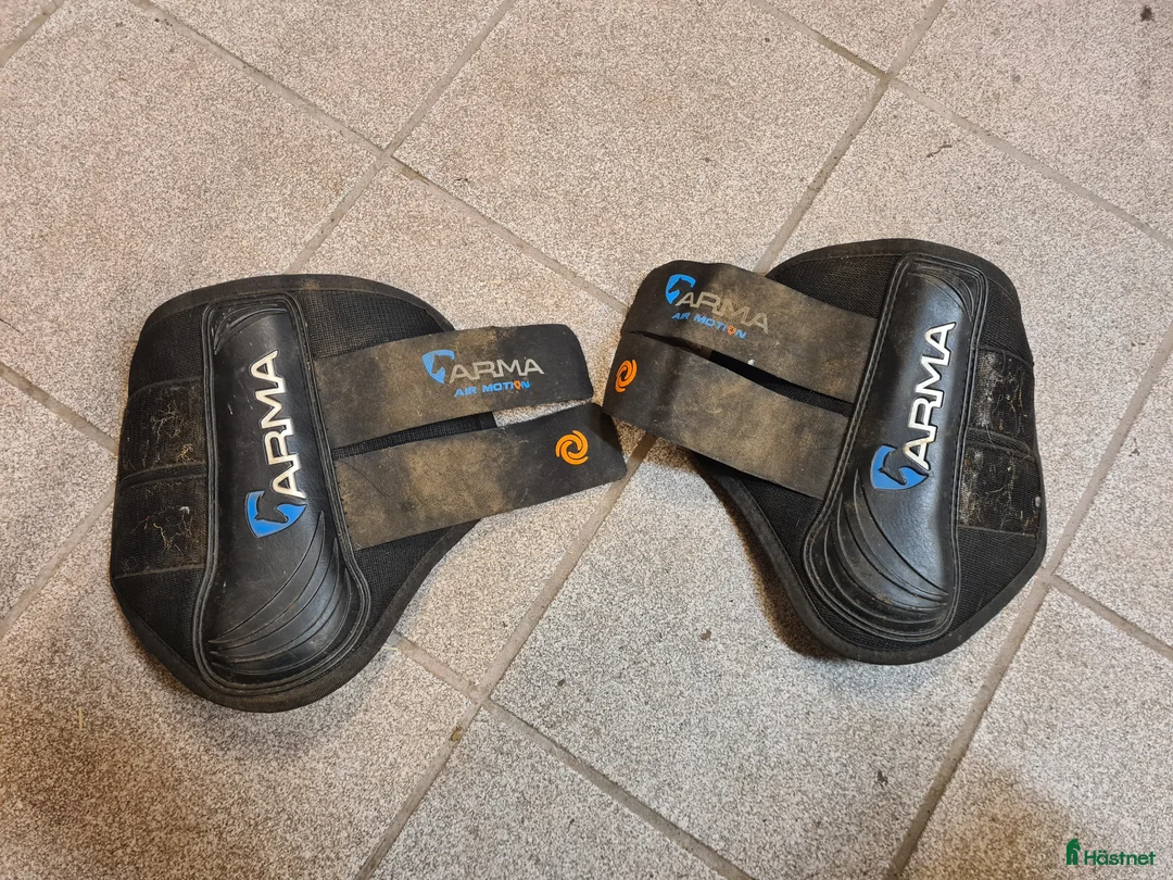 Benskydd hästutrustning till salu: Benskydd Arma S - Annons 1