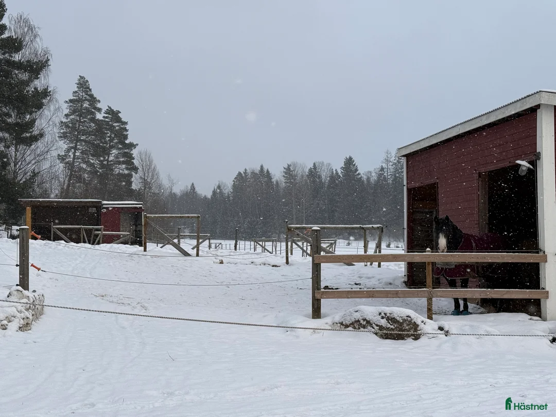  stallplats finnes: Lösdrift nära Södertälje  i Järna - Annons 10
