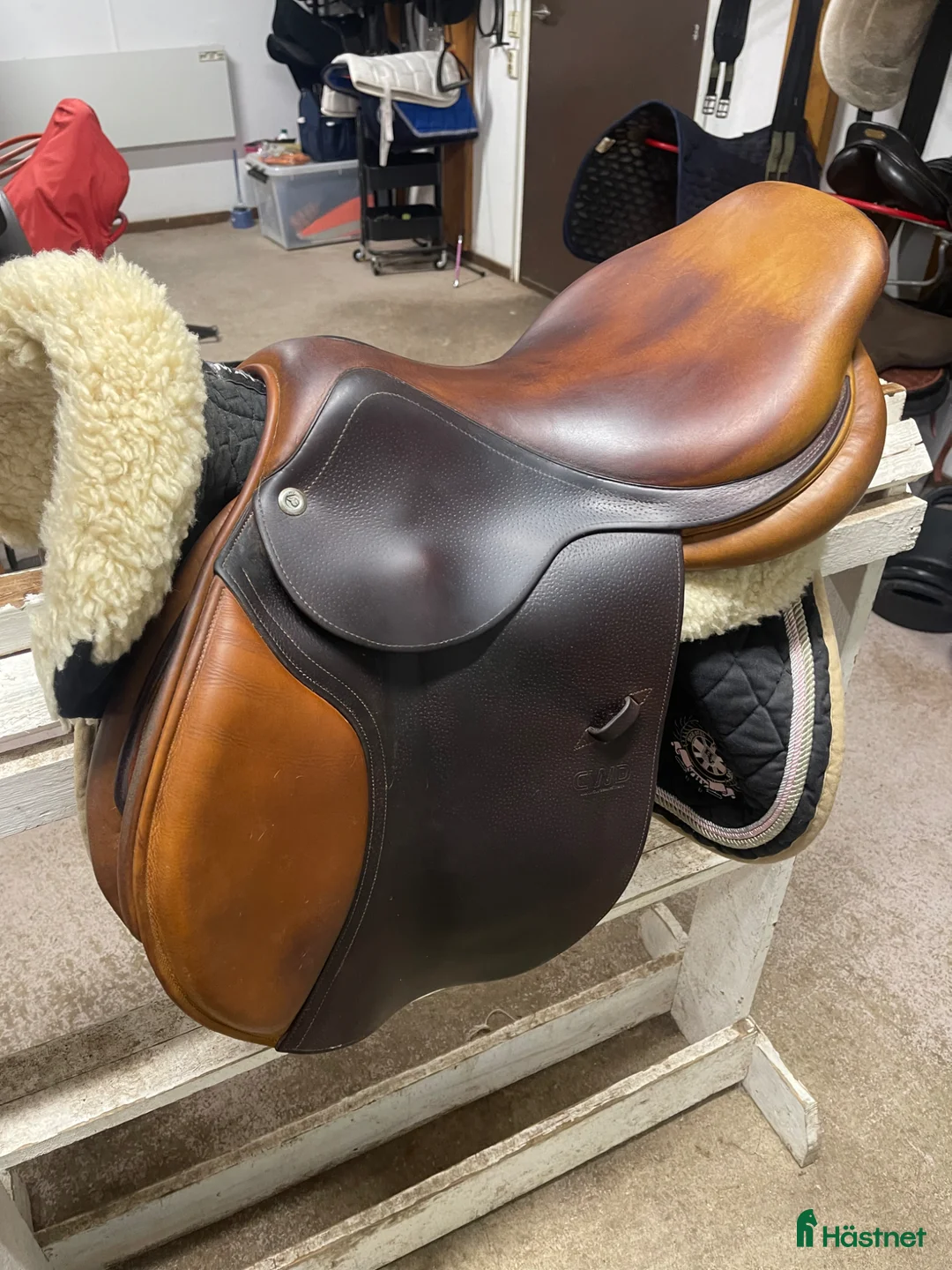 Sadlar hästutrustning till salu: Cwd Se02 17,5 tum. - Annons 2