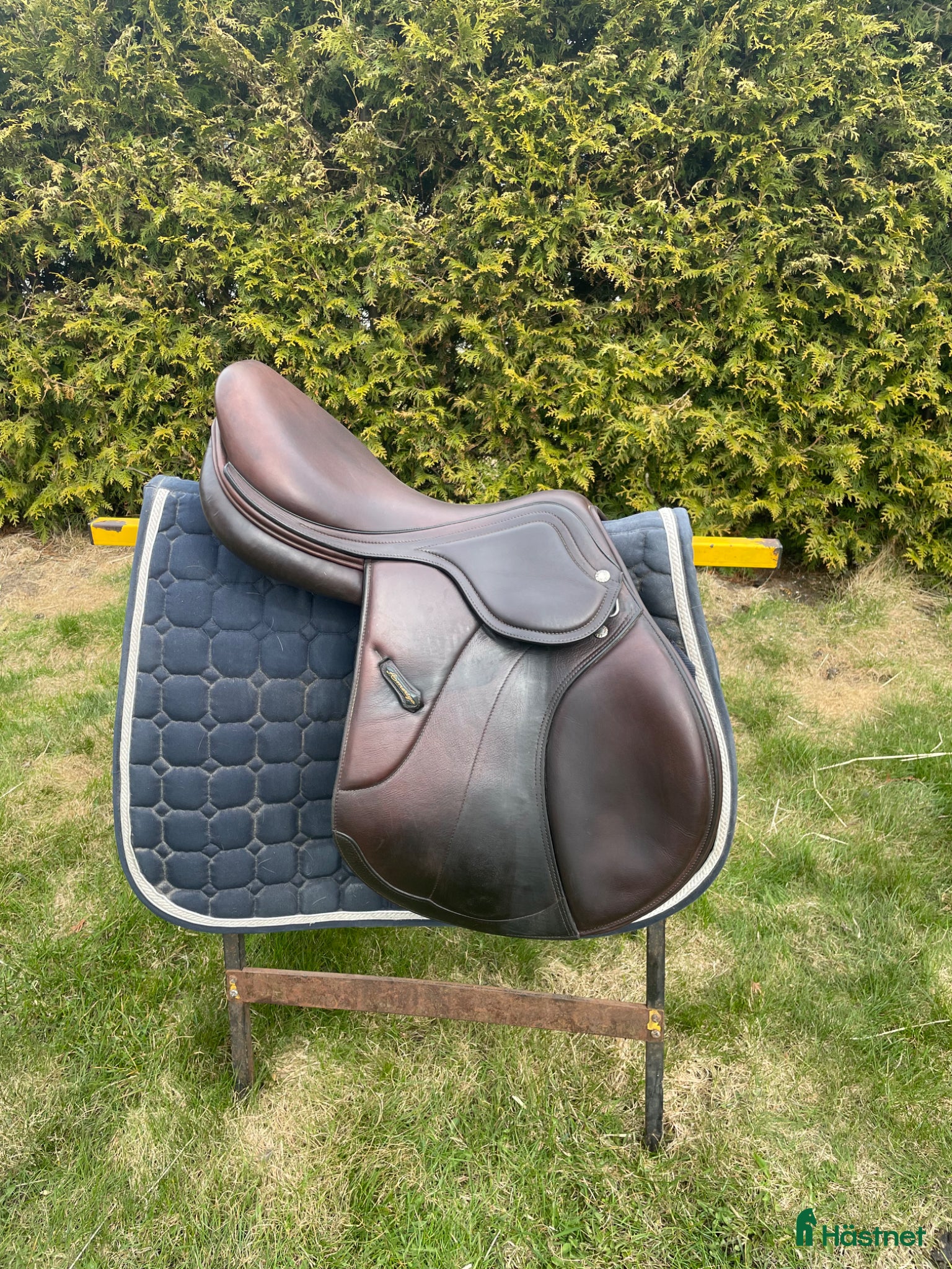 Sadlar hästutrustning Amerigo Vega sadel i nyskick⭐️ - Annons 3