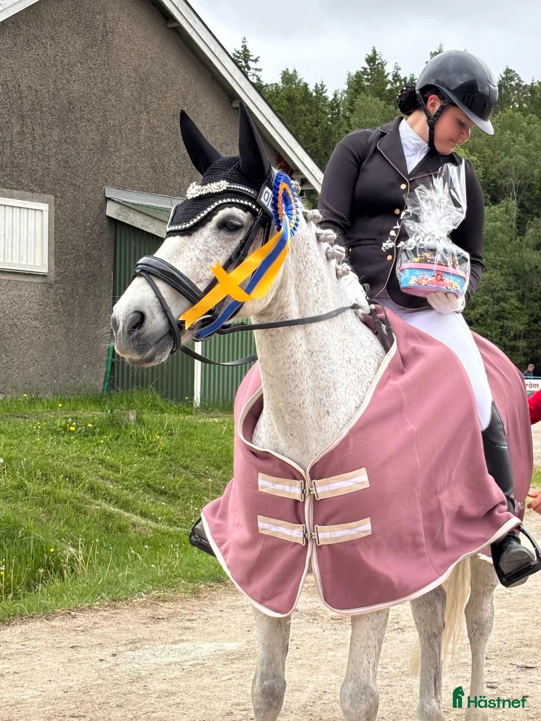 Allround hästar till salu: ✨️ Maxad D-ponny✨️ i Lödöse - Annons 2