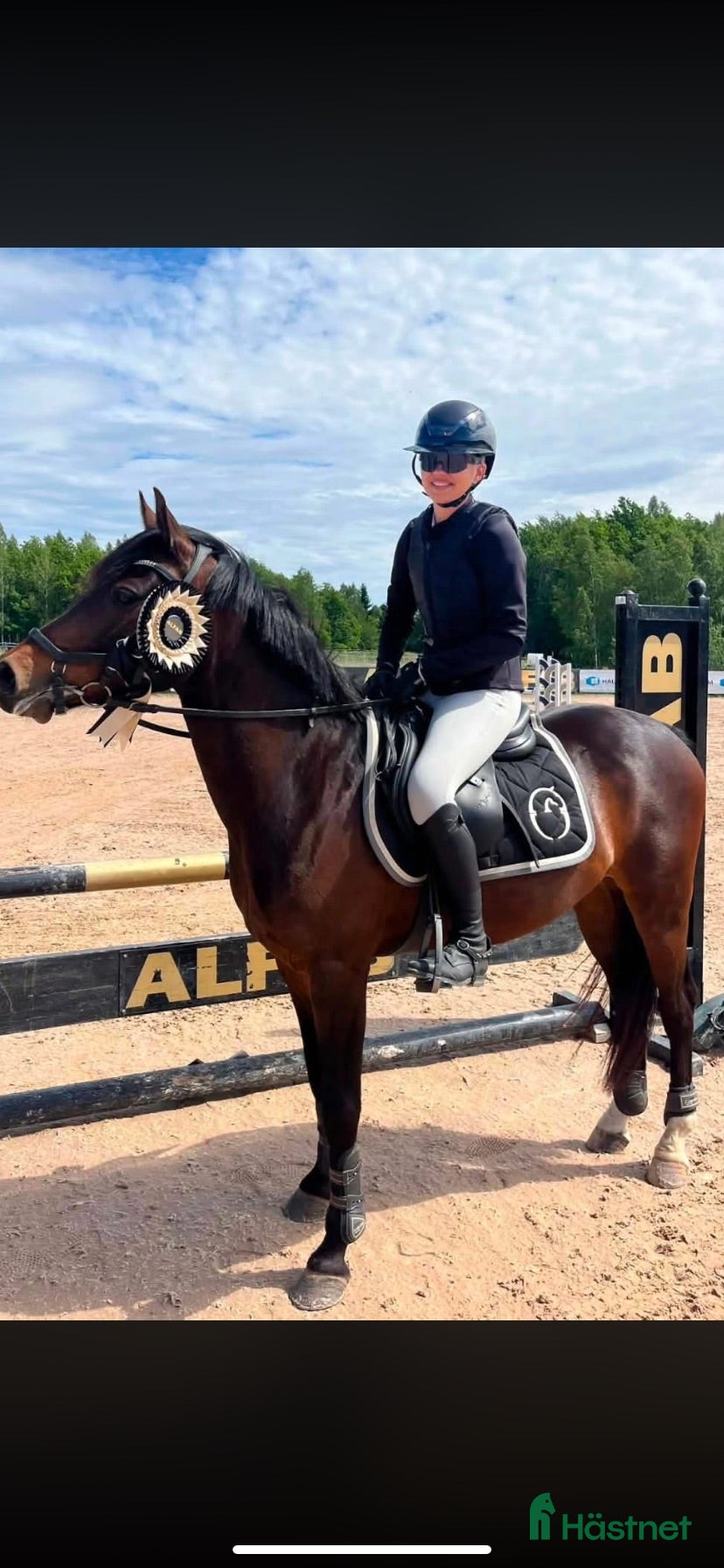  hästar Tävlingsponny kat C - Annons 12