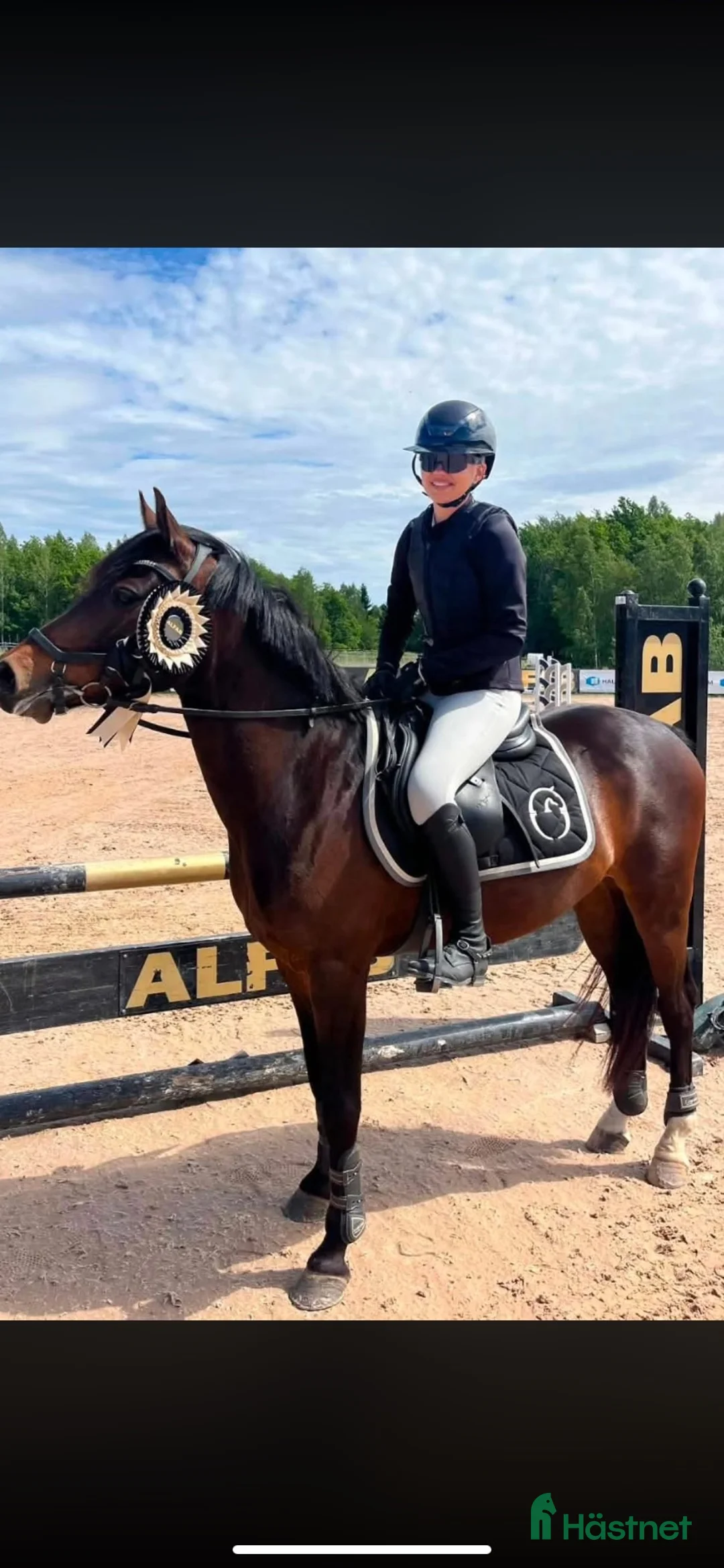 Hoppning hästar till salu: Tävlingsponny kat C - Annons 1