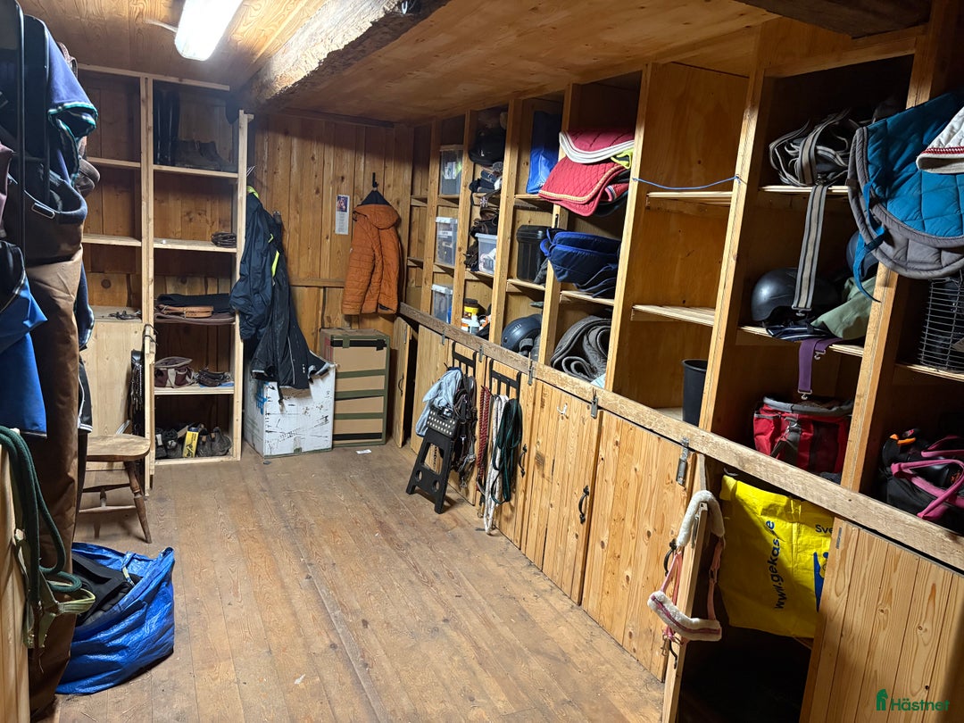  stallplats finnes: Stallplats i lösdriftsstall i Mjölby - Annons 5