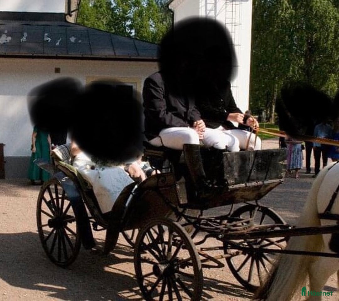 Körvagnar körning till salu: Fin äldre promenadvagn / Viktoriavagn i Vallentuna - Annons 3