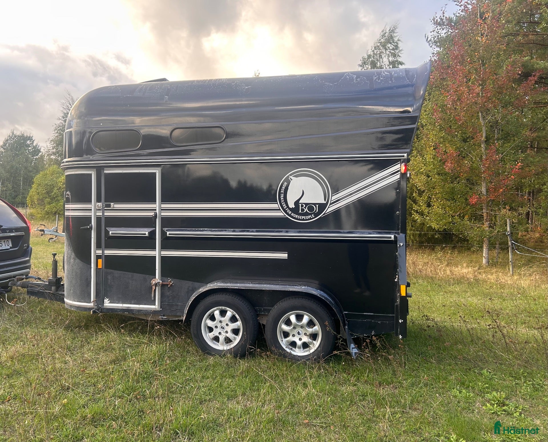 Hästtransporter  fordon & transport till salu: Boj Classic SEH - Annons 2