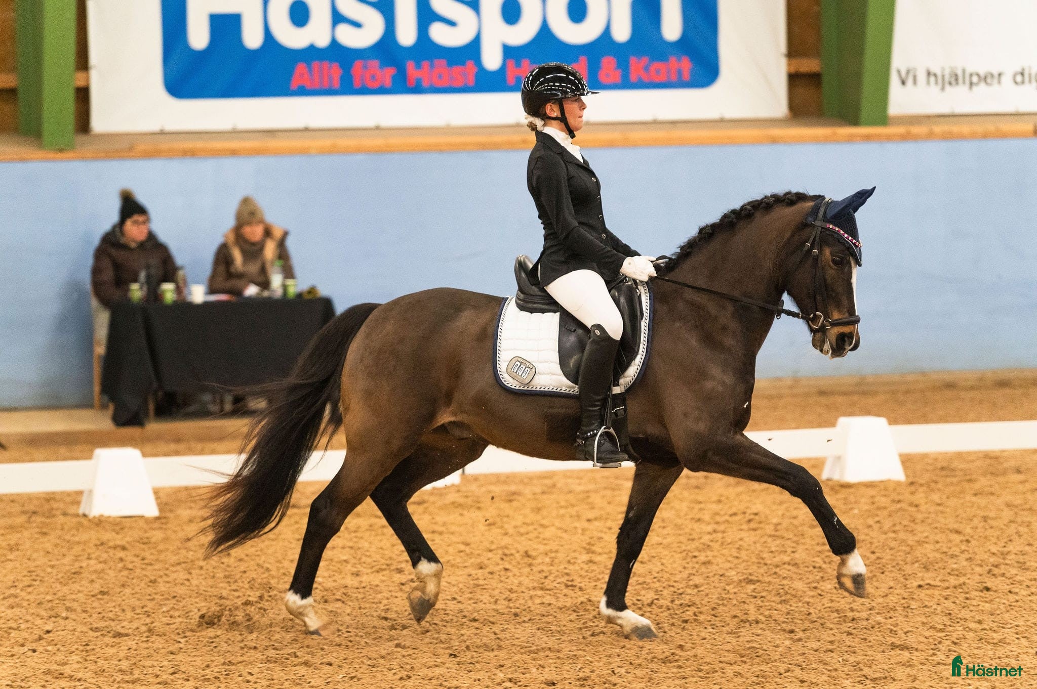  hästar Fantastisk FEI-ponny - Annons 16