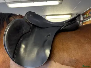Sadlar hästutrustning Kieffer Donau - Annons 5