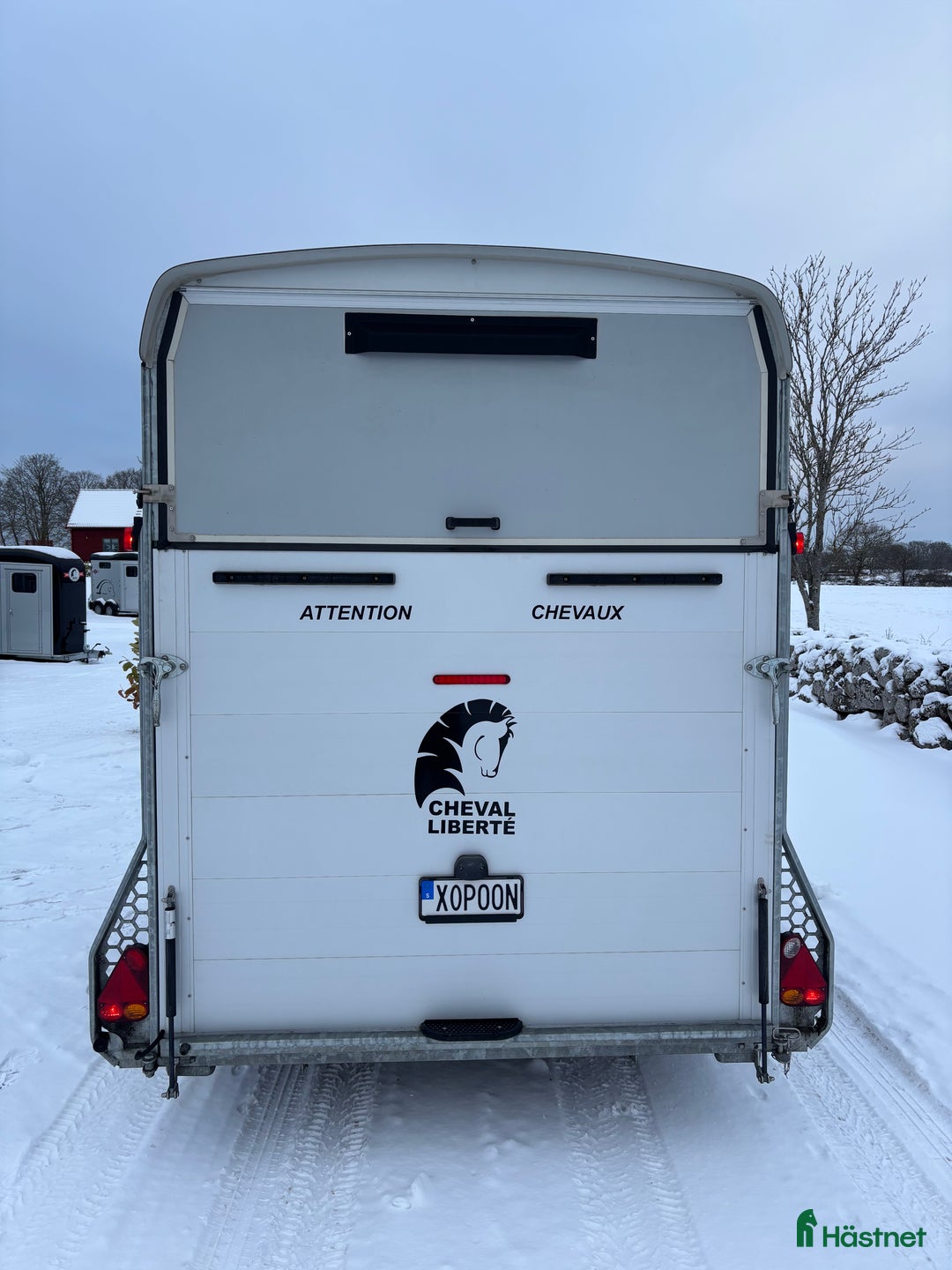 Hästtransporter  fordon & transport till salu: Cheval Maxi2 i Kalmar - Annons 3