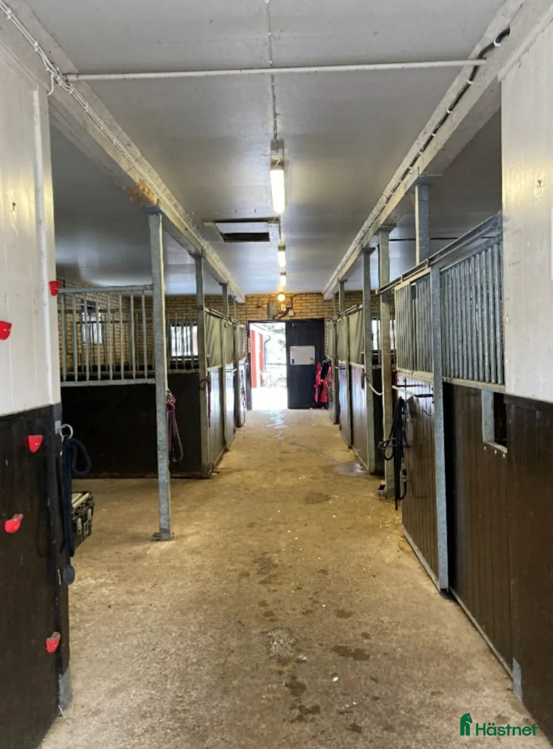  stallplats finnes: Stallplats Grän stallängen  - Annons 11