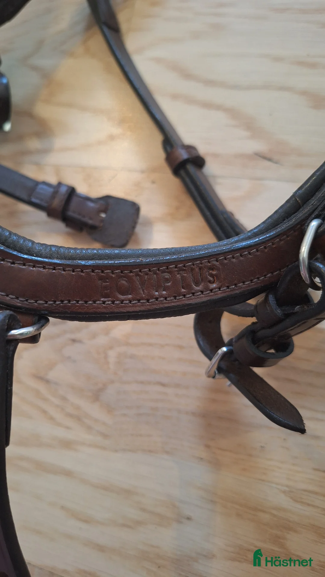 Träns hästutrustning till salu: Träns eqviptus storlek xs (shetland) i Sandarne - Annons 5
