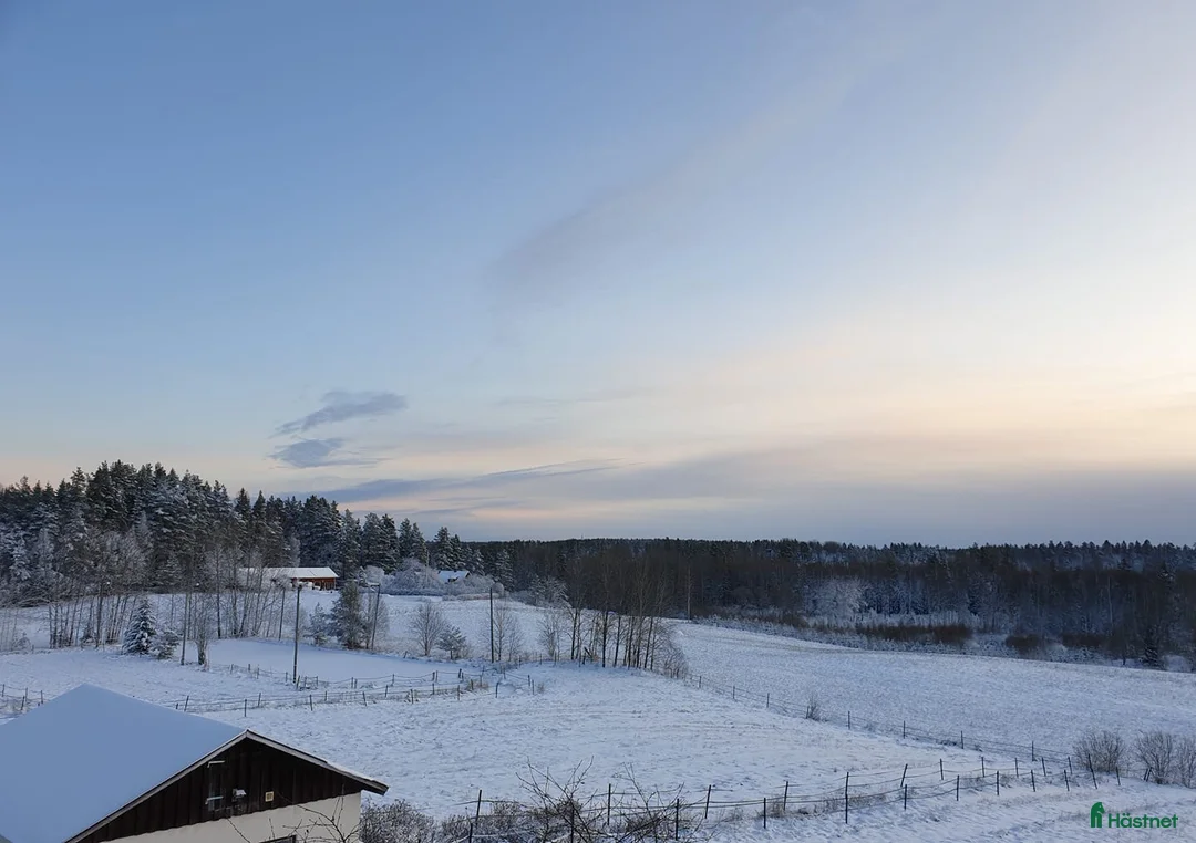  hästgårdar till salu: Fin hästgård 15 km norr om Örebro - Annons 3