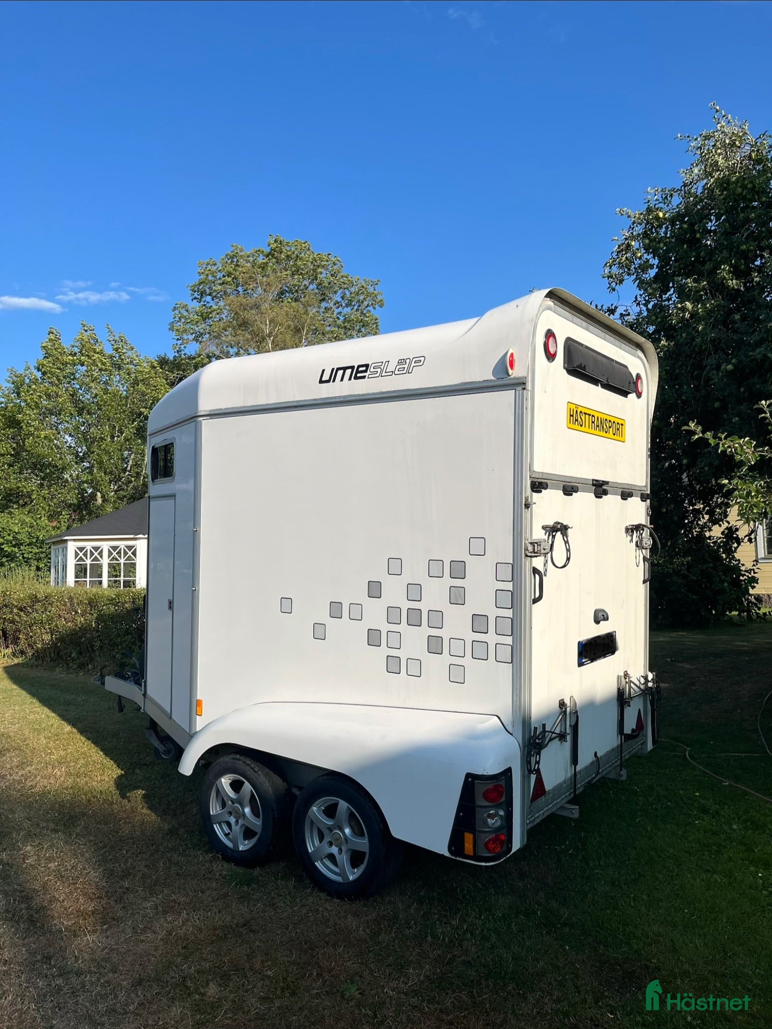Hästtransporter  fordon & transport till salu: Umesläp B36 2013 - Annons 19