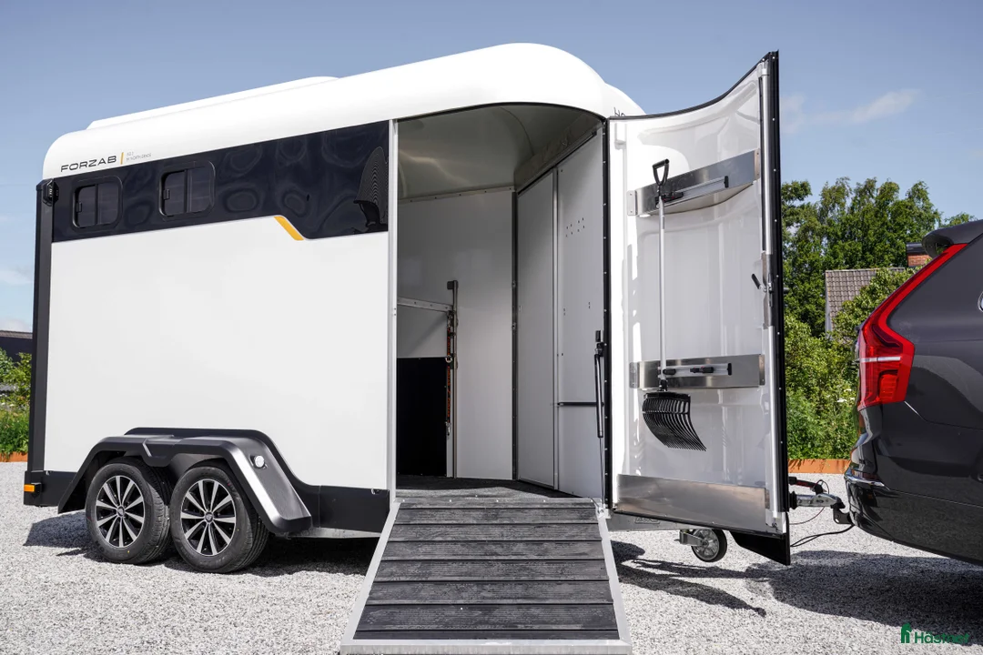 Hästtransporter  fordon & transport till salu: Forzab EQ 2 - Annons 7