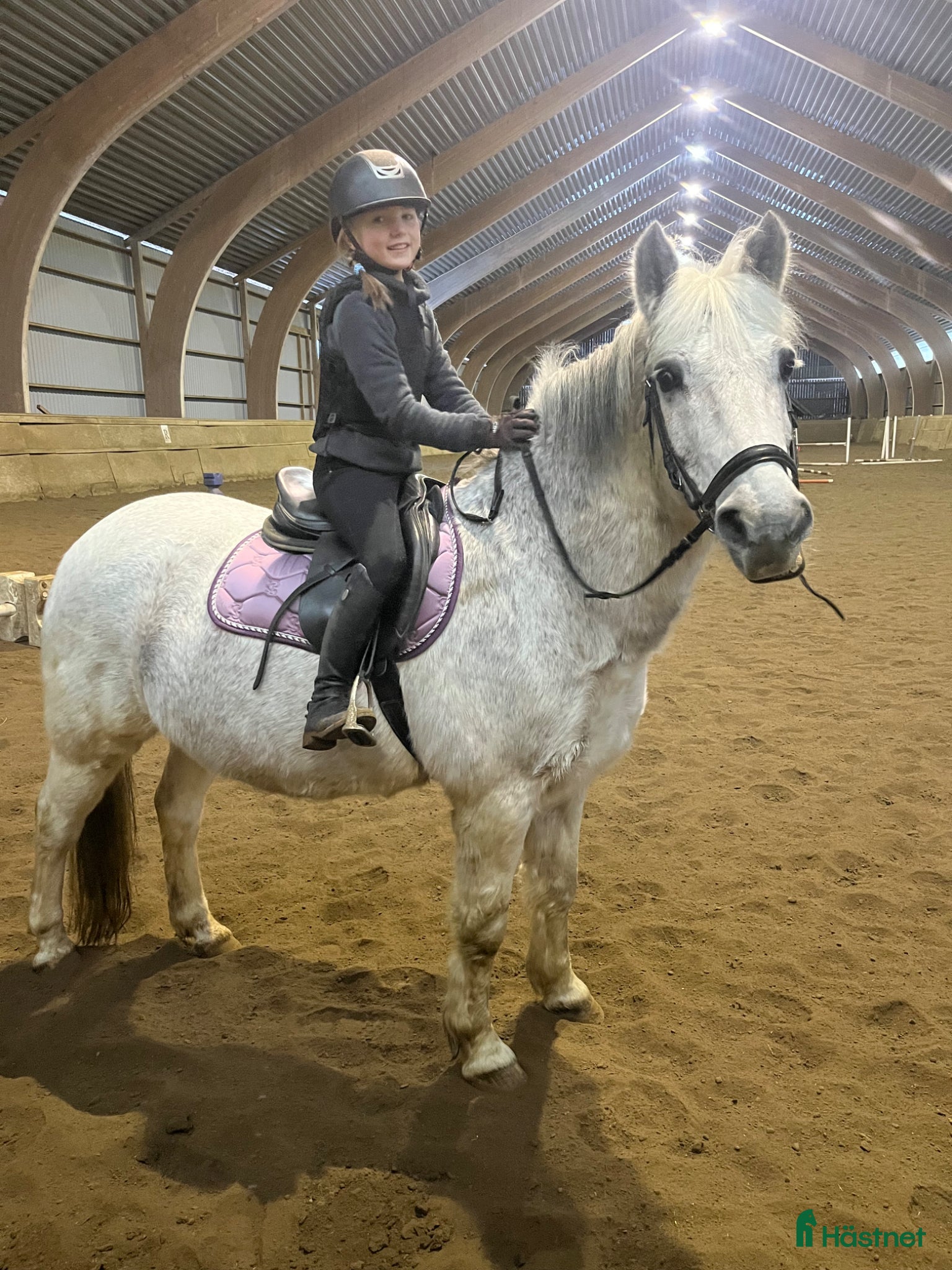  medryttarhäst sökes: Ponny sökes till medryttare/fodervärd  - Annons 2