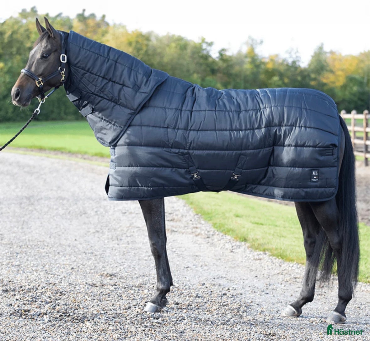 Täcken hästutrustning Kingsland Stalltäcke i Rättvik - Annons 18