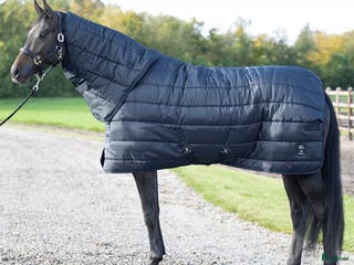 Täcken hästutrustning till salu: Kingsland Stalltäcke i Rättvik - Annons 1