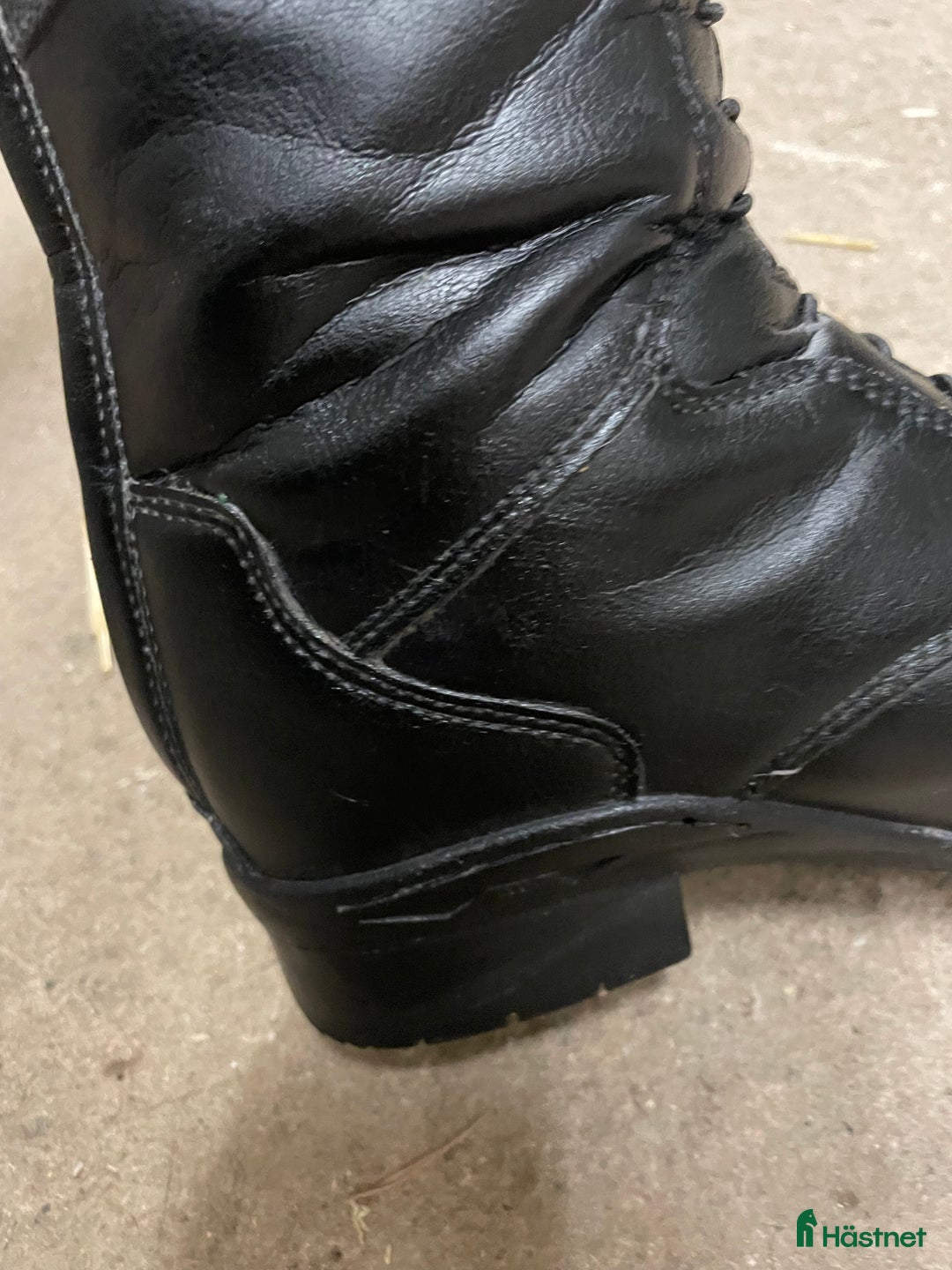 Ridstövlar ryttarutrustning till salu: Ridstövlar i Katrineholm - Annons 22