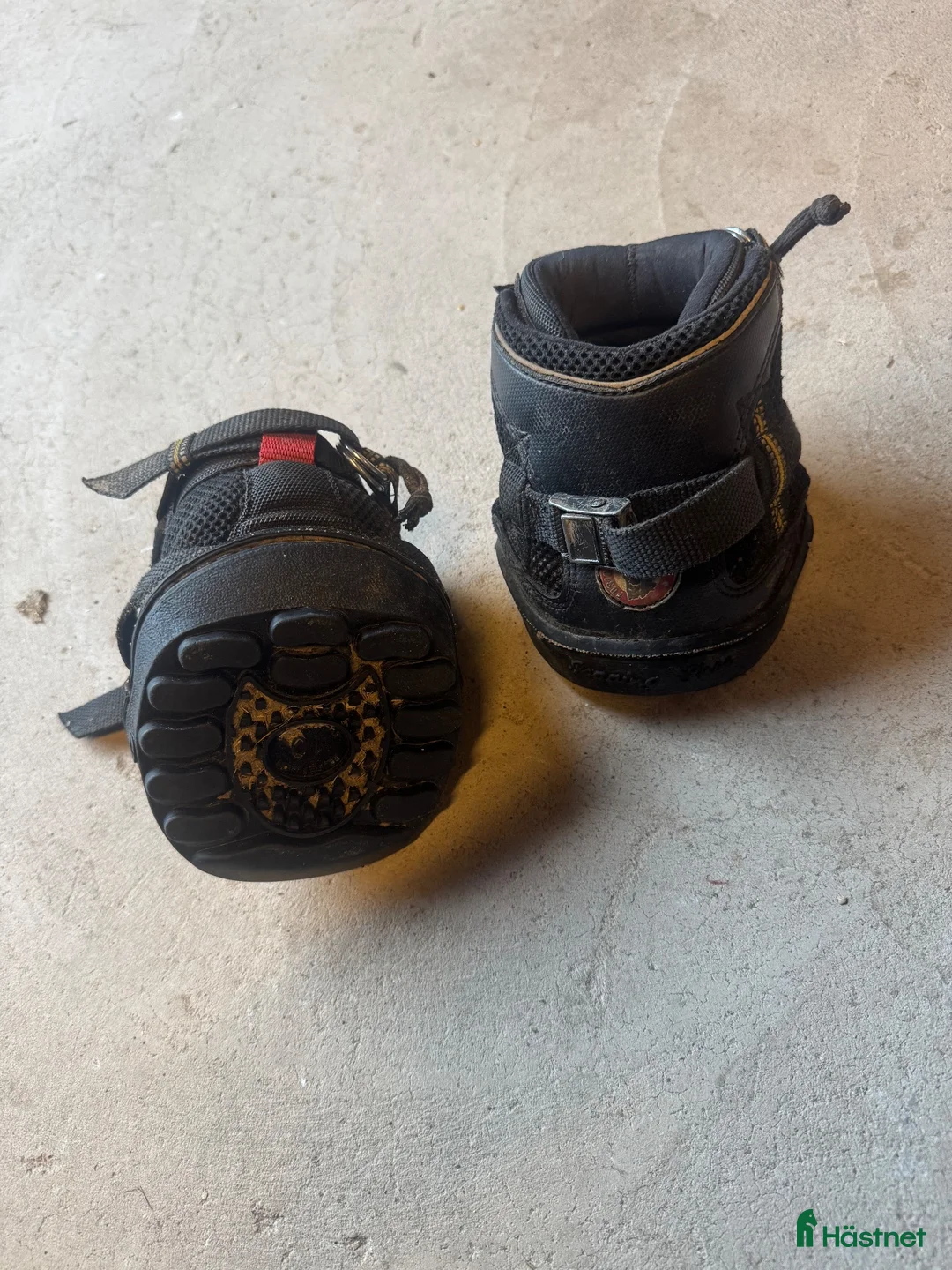 Övrig Hästutrustning hästutrustning till salu: Equine fusion boots  - Annons 3