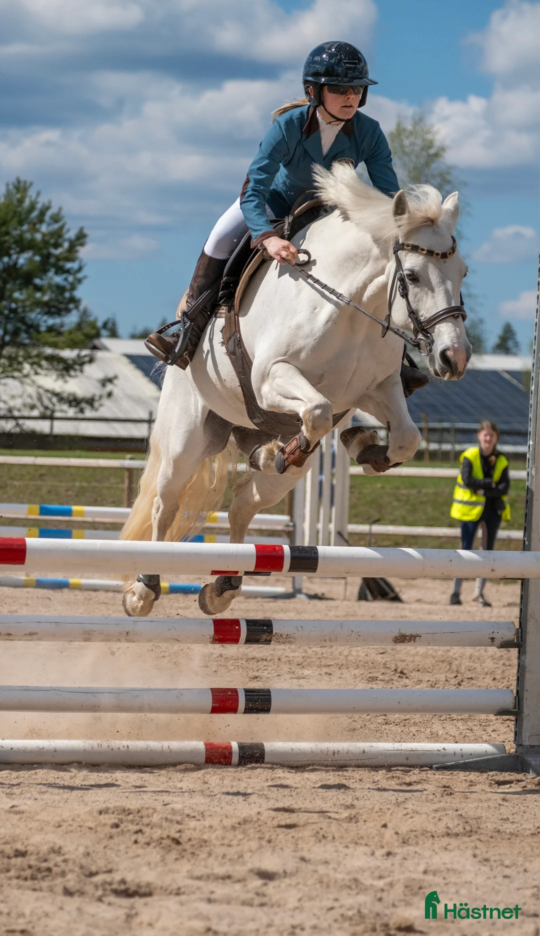 Hoppning hästar till salu: Sockersöt hopponny i Degerhamn - Annons 4