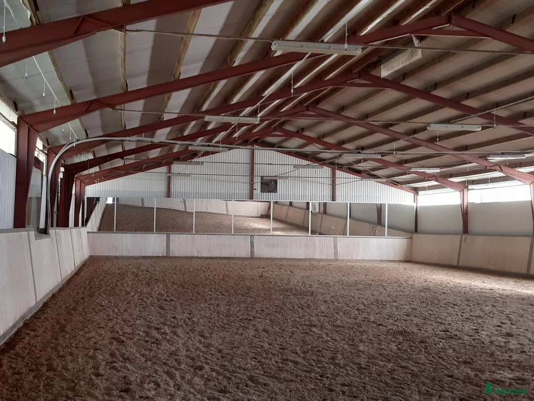  stallplats finnes: Ridhus och lång utevistelse i Sollentuna - Annons 2