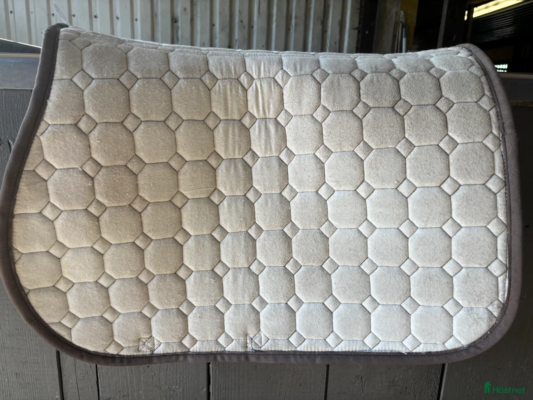 Schabrak & Vojlockar hästutrustning till salu: Equiline till salu i Strömstad - Annons 4