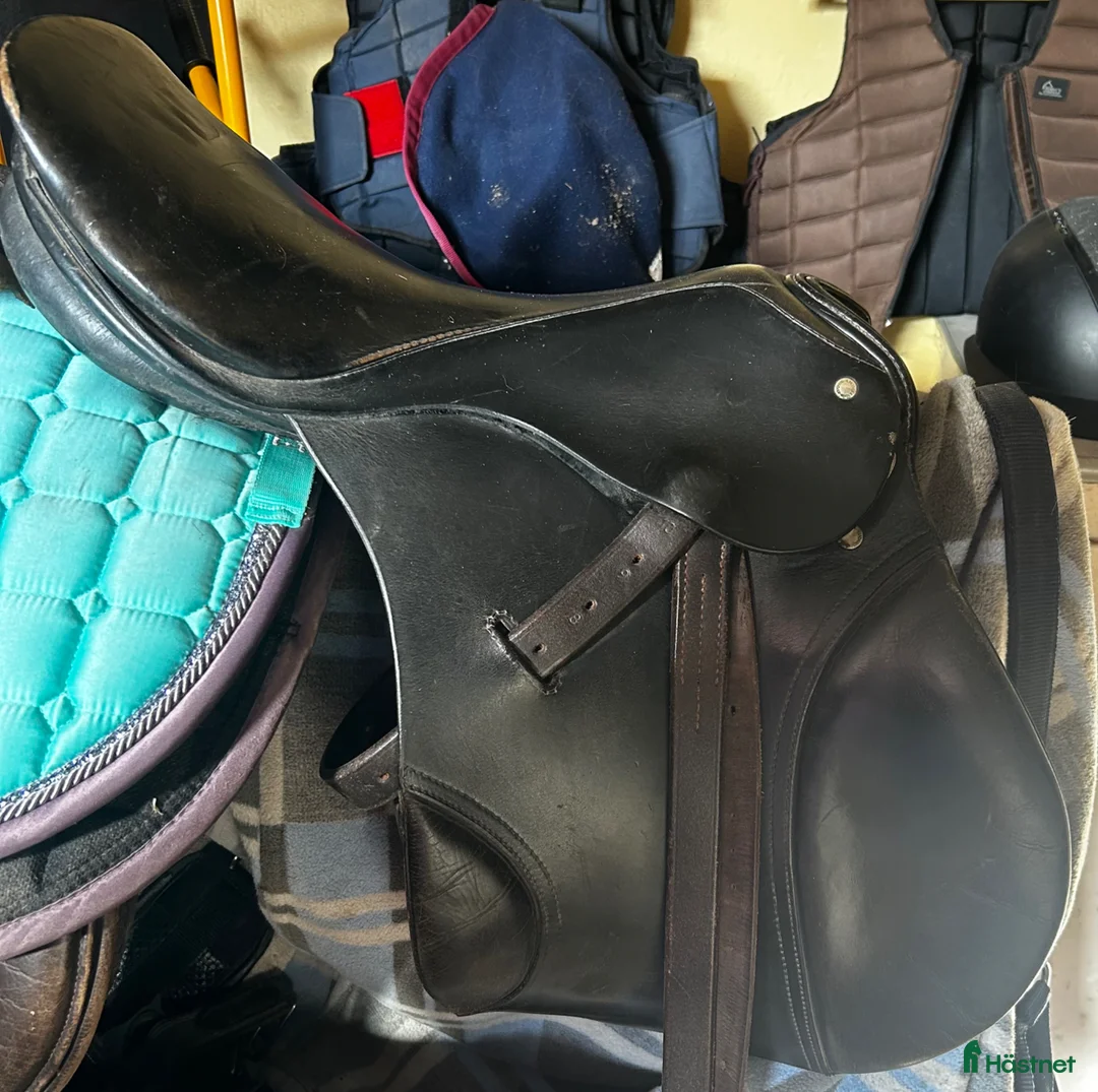Sadlar hästutrustning till salu: Inridningssadel  - Annons 2