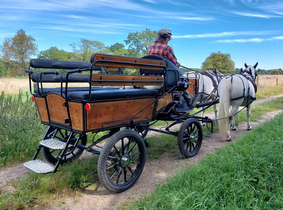 Körvagnar körning till salu: Wagonett - Annons 2