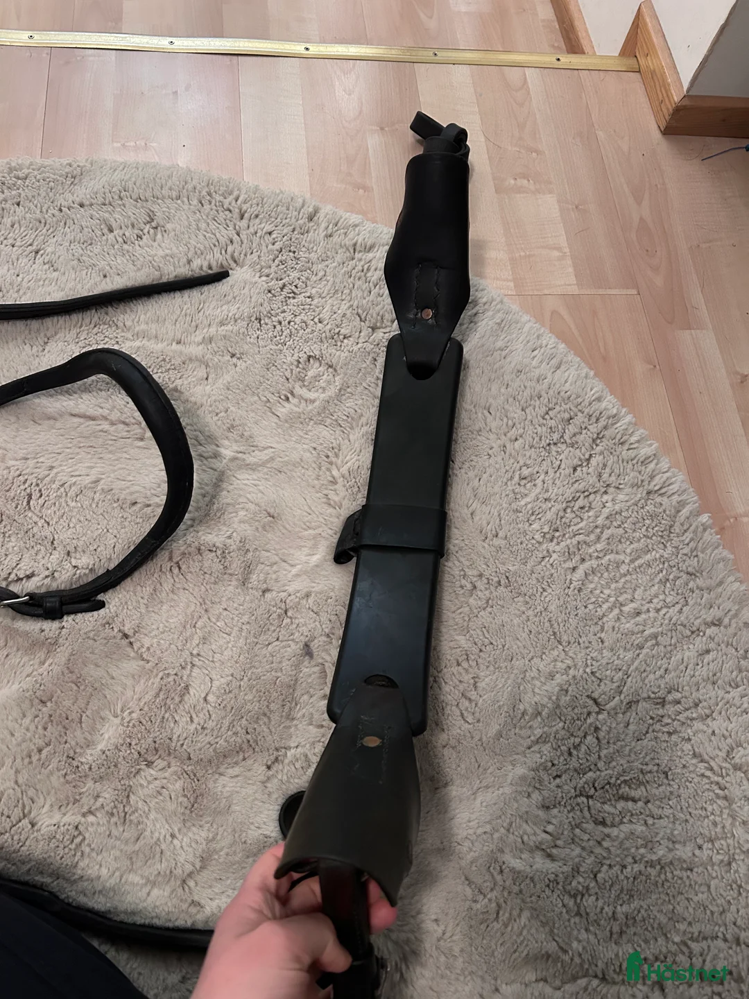 Travselar trav till salu: Remsele till ponny i Förslöv - Annons 2