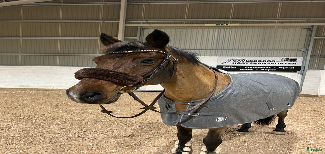 Galleribild {{count}}