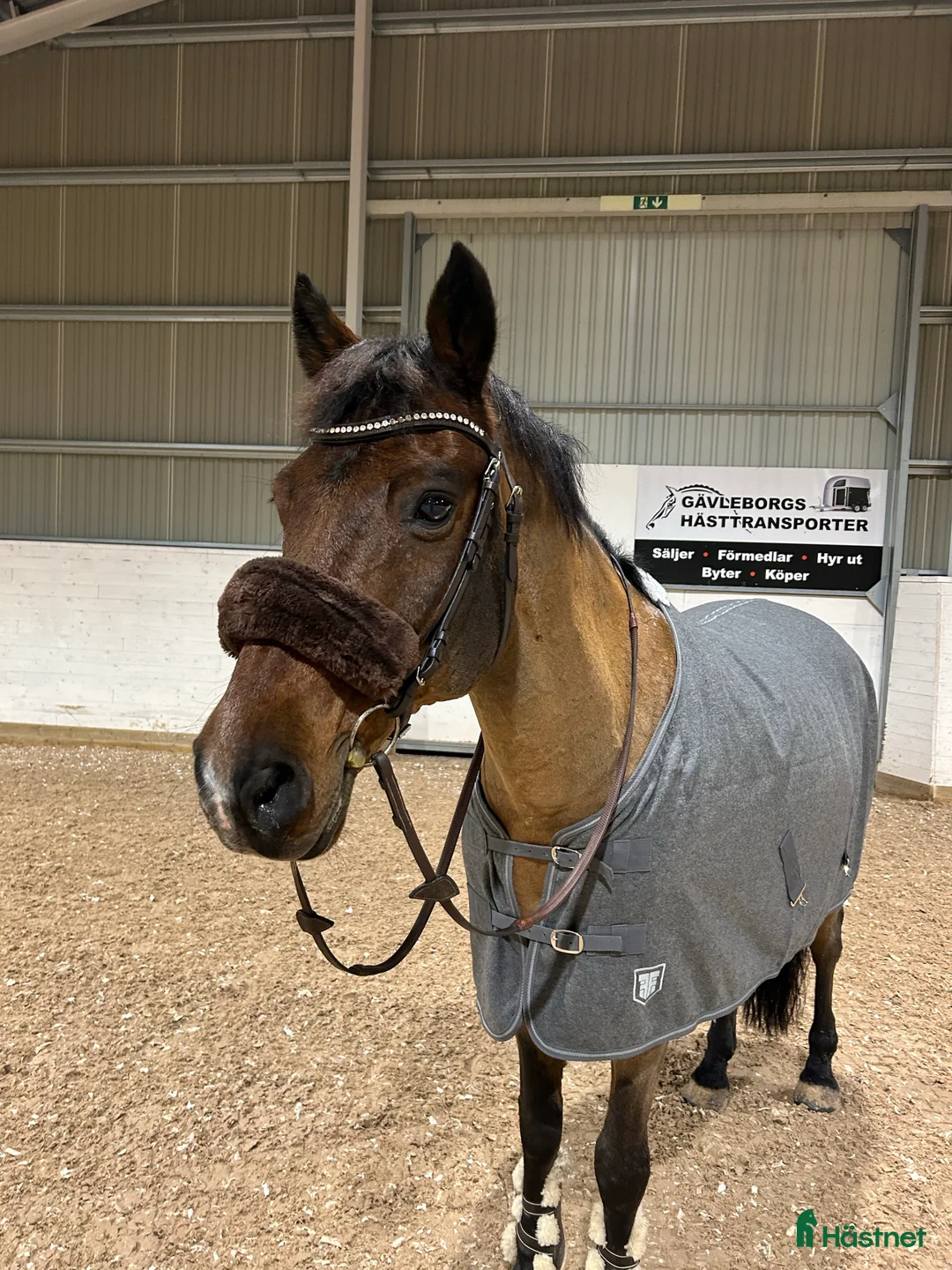 Galleribild {{count}}