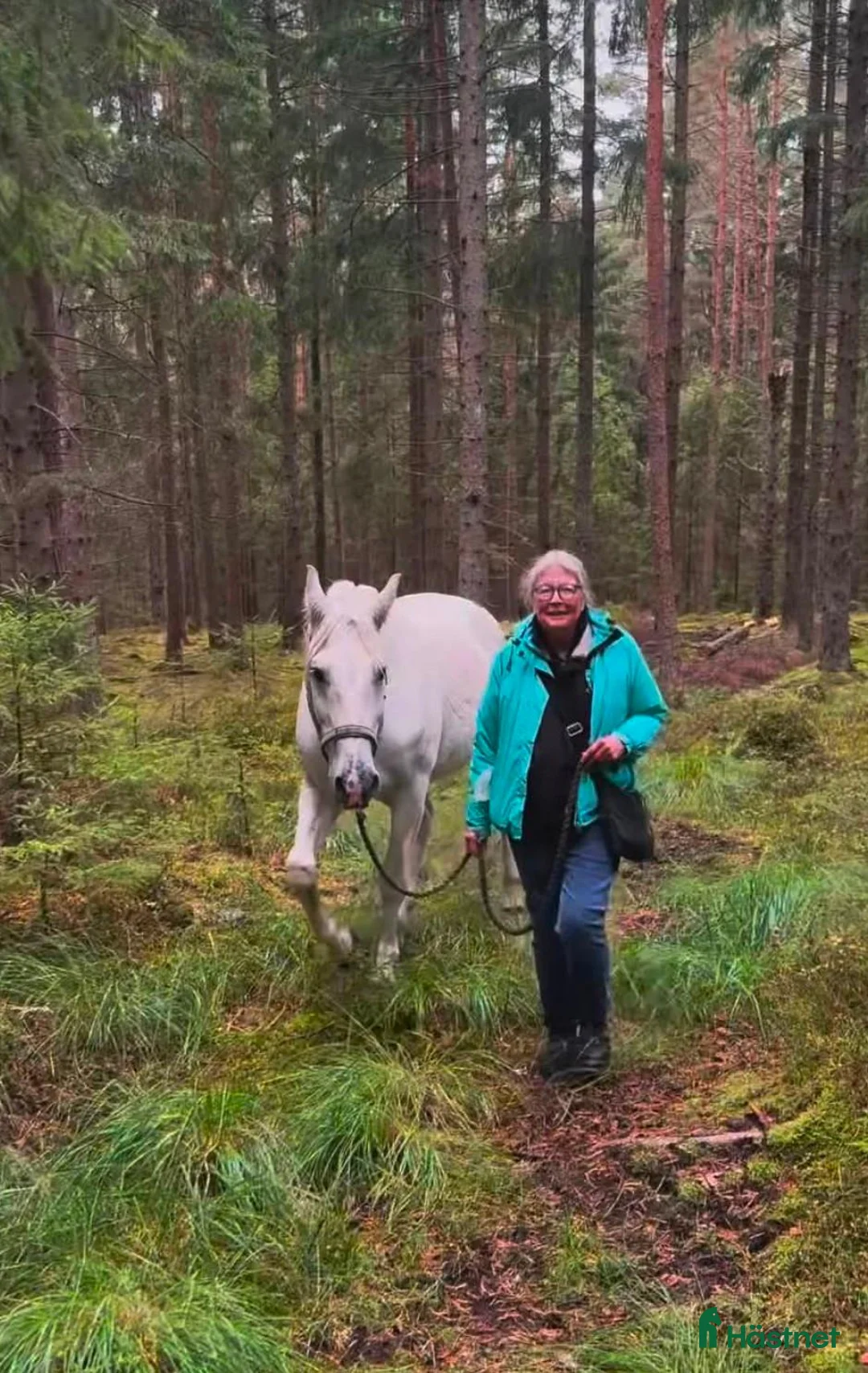  medryttarhäst finnes: Pajkos i Nol behöver ytterligare en människa! i Nol - Annons 2