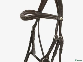 Träns hästutrustning till salu: pullarträns från lippo i Jönköping - Annons 4