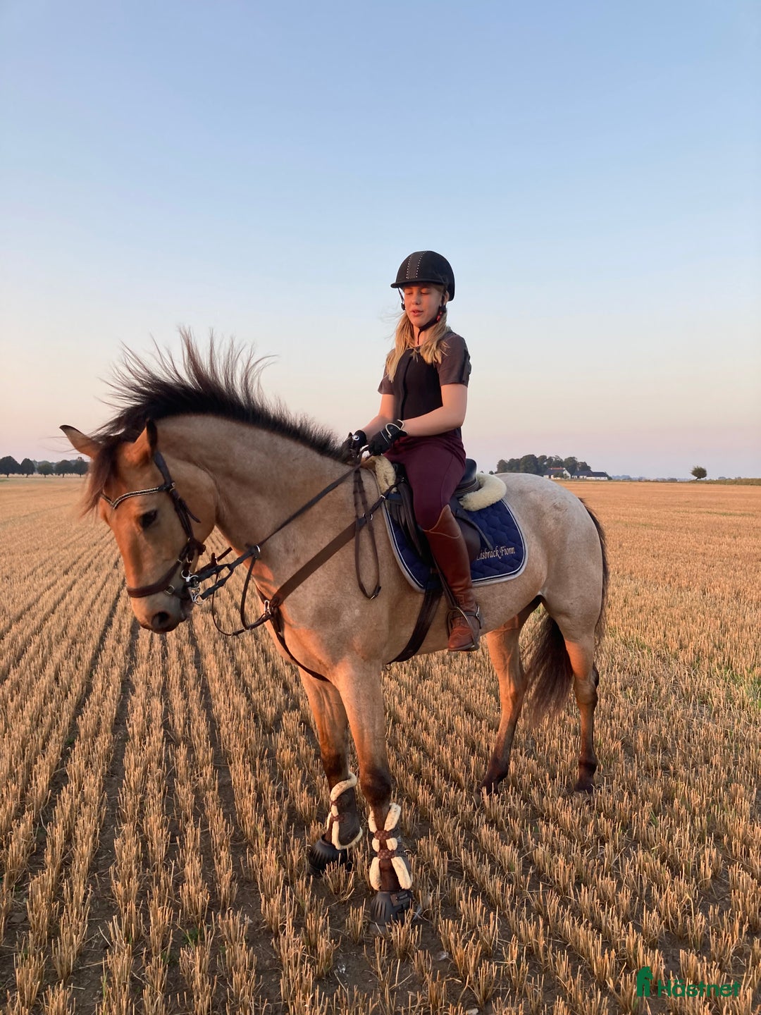  medryttarhäst finnes: Stor d ponny söker medryttare i Klagstorp - Annons 3