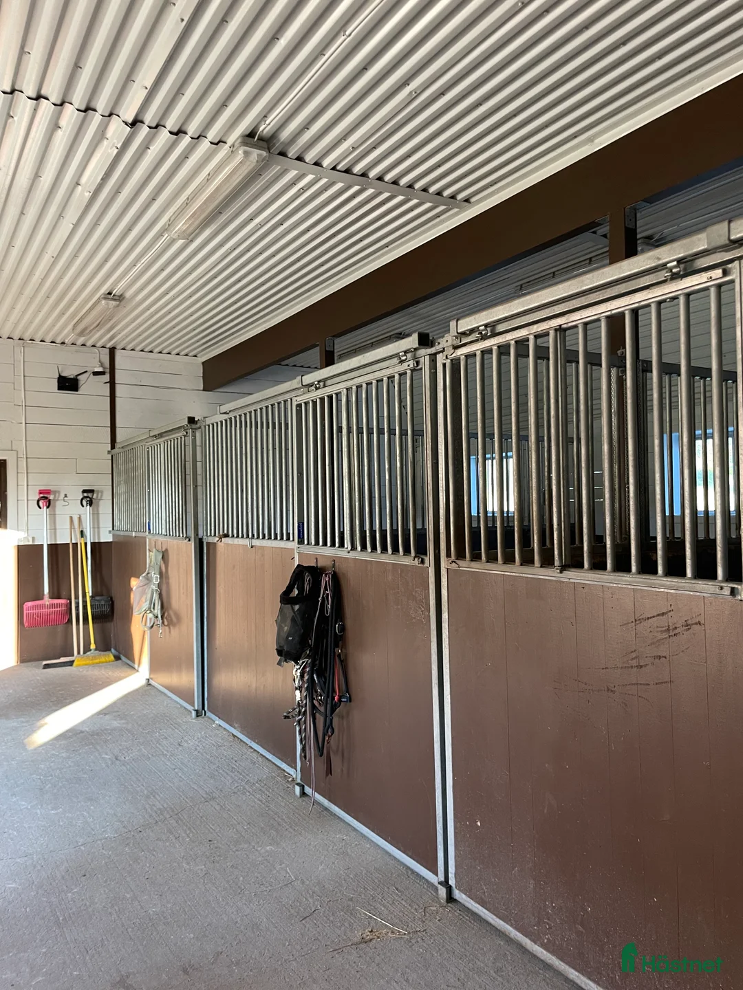  stallplats finnes: Ledig boxplats i Rävlanda - Annons 2