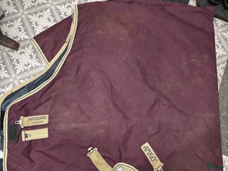 Täcken hästutrustning till salu: Horsewear stl 155/6’9 tum i Svartsjö - Annons 18