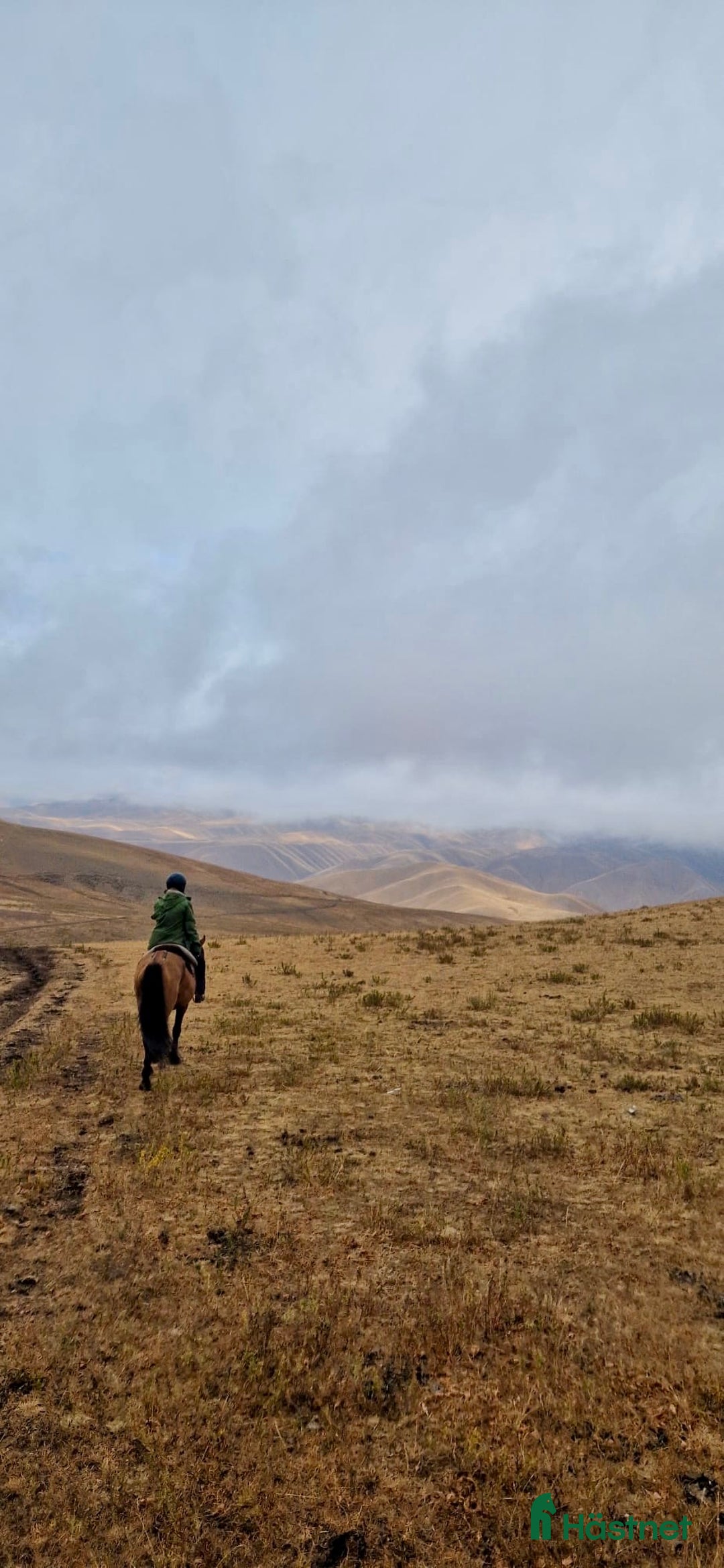 Galleribild {{count}}