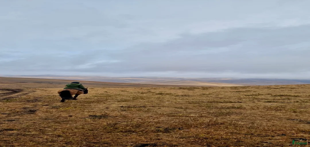 Galleribild {{count}}